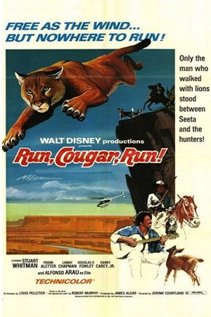 Run, Cougar, Run poszter