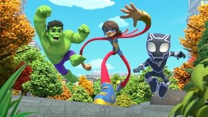 Marvel: Póki és csodálatos barátai kép