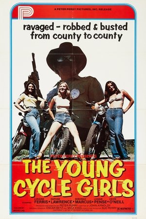 Cycle Vixens poszter
