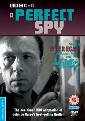 A Perfect Spy poszter