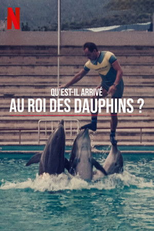 Mi történt a delfinkirállyal? poszter