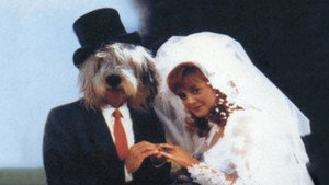 The Return of the Shaggy Dog háttérkép