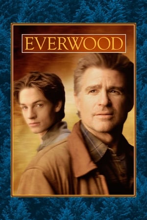 Everwood poszter