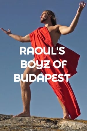 Raoul's Boys of Budapest