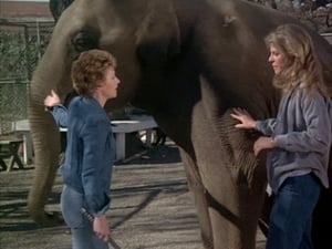 The Bionic Woman Season 1 Ep.5 5. epizód