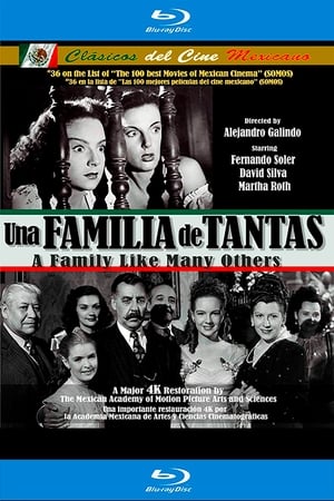 Una familia de tantas poszter