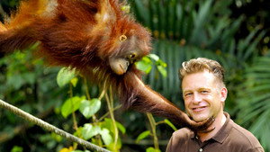 Secrets of Our Living Planet kép