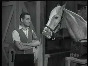 Mister Ed 2. évad Ep.24 24. epizód