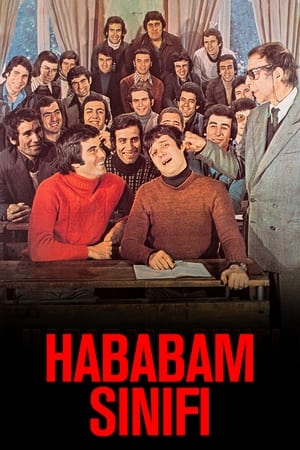 Hababam Sınıfı poszter