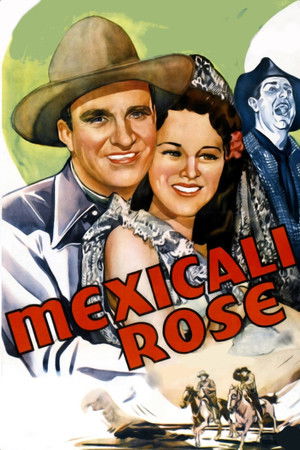 Mexicali Rose poszter