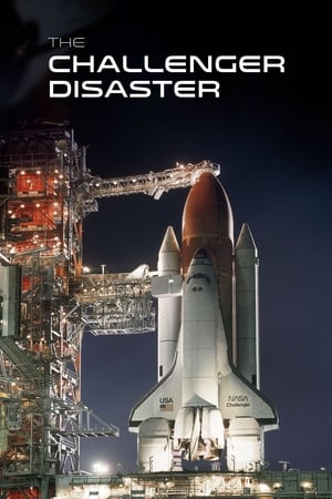 The Challenger Disaster poszter