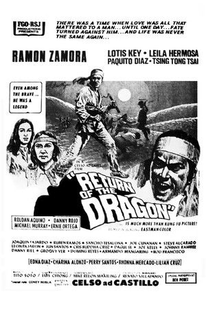 Return of the Dragon poszter