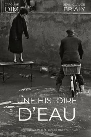 Une histoire d'eau poszter