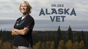Dr. Dee: Alaska Vet kép