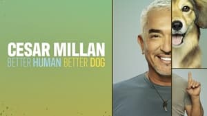 Cesar Millan: Jó gazdi, jó kutya kép