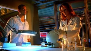 CSI: Miami-helyszínelők 5. évad Ep.18 Tripla élvezet