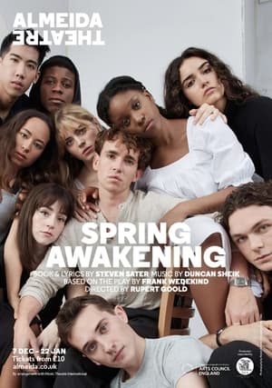 Almeida On Screen: Spring Awakening poszter