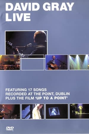 David Gray: Live at the Point poszter