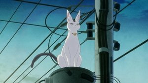 宇宙人ムームー 1. évad Ep.14 14. epizód