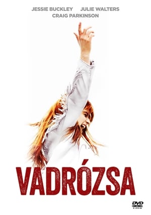 Vadrózsa