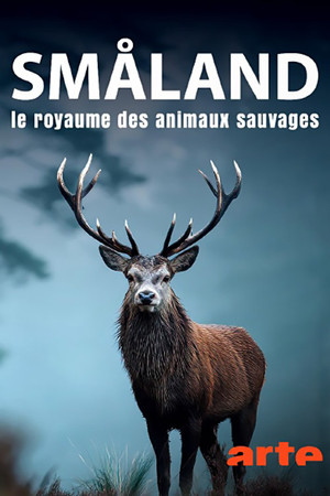 Vilda Småland poszter