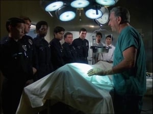 Quincy, M.E. 1. évad Ep.1 1. epizód