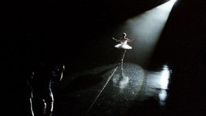 Black Swan: Metamorphosis háttérkép