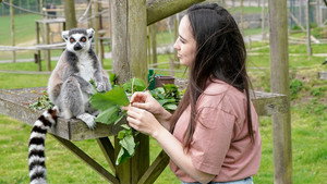 Animal Park 20. évad Ep.5 5. epizód
