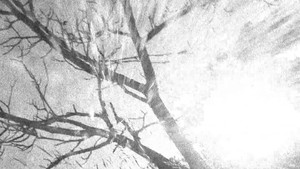Spectral Ascension háttérkép