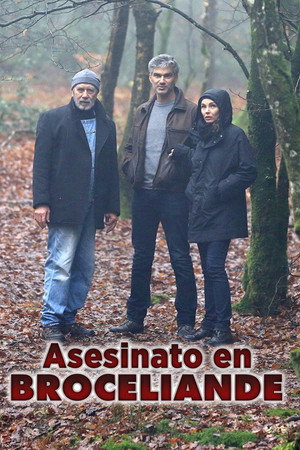 L'Inconnu de Brocéliande poszter