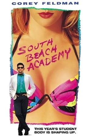 South Beach Academy poszter