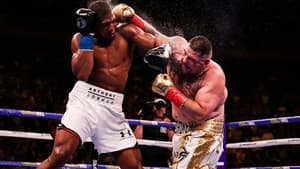 One Night: Joshua vs. Ruiz háttérkép