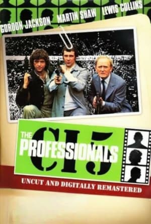 The Professionals poszter