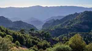 Les forêts des sommets háttérkép