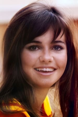 Sally Field profil kép