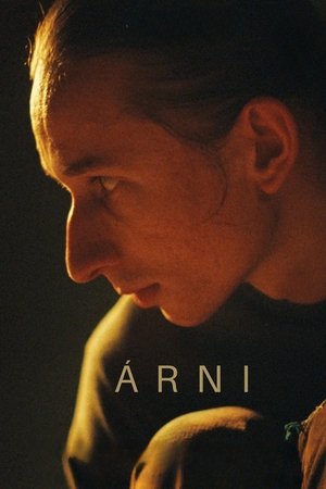 Árni poszter