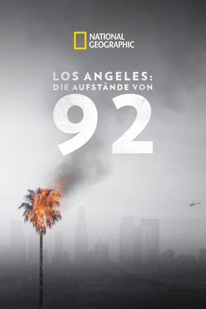 LA 92 – A Rodney King-zavargások poszter