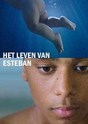 Het leven van Esteban