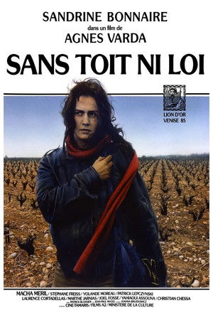 Sem fedél, sem törvény