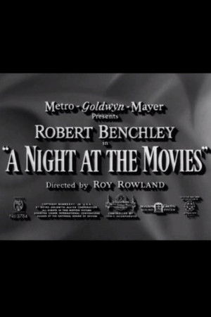 A Night at the Movies poszter