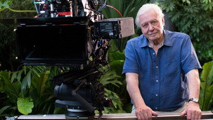 90 év David Attenborough-val háttérkép