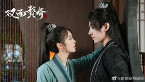 双面赘婿 kép