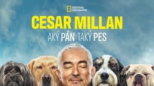 Cesar Millan: Jó gazdi, jó kutya kép