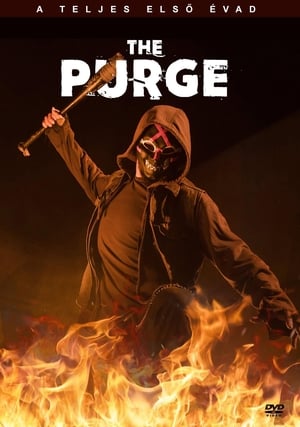 The Purge