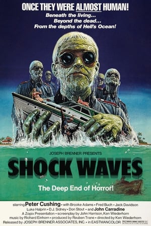 Shock Waves poszter