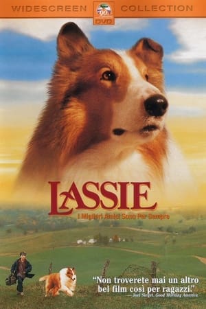 Lassie- Az igazi barát poszter