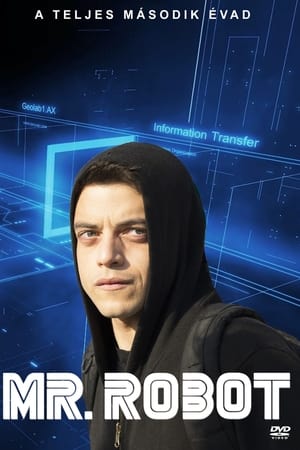 Mr. Robot