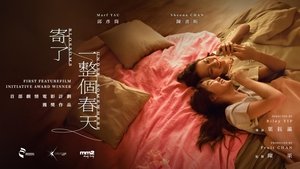 寄了一整個春天 háttérkép