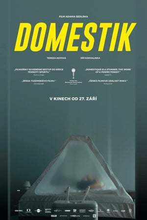 Domestik