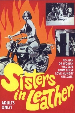 Sisters in Leather poszter